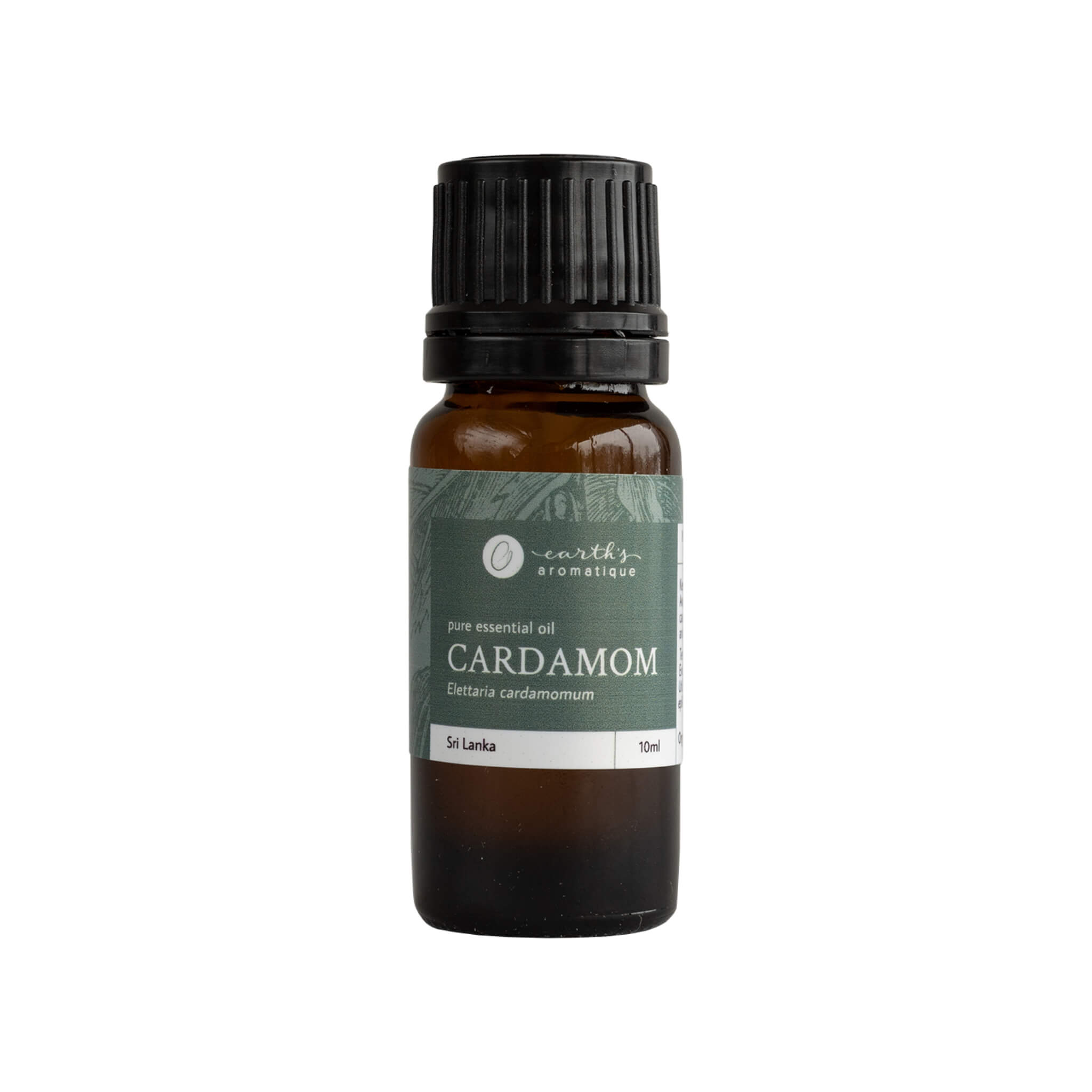 Pure Cardamom Essential Oil for Aromatherapy, Relaxation & Cooking – 100% Natural Therapeutic Grade Oil for Diffusers, Massage & DIY Recipes