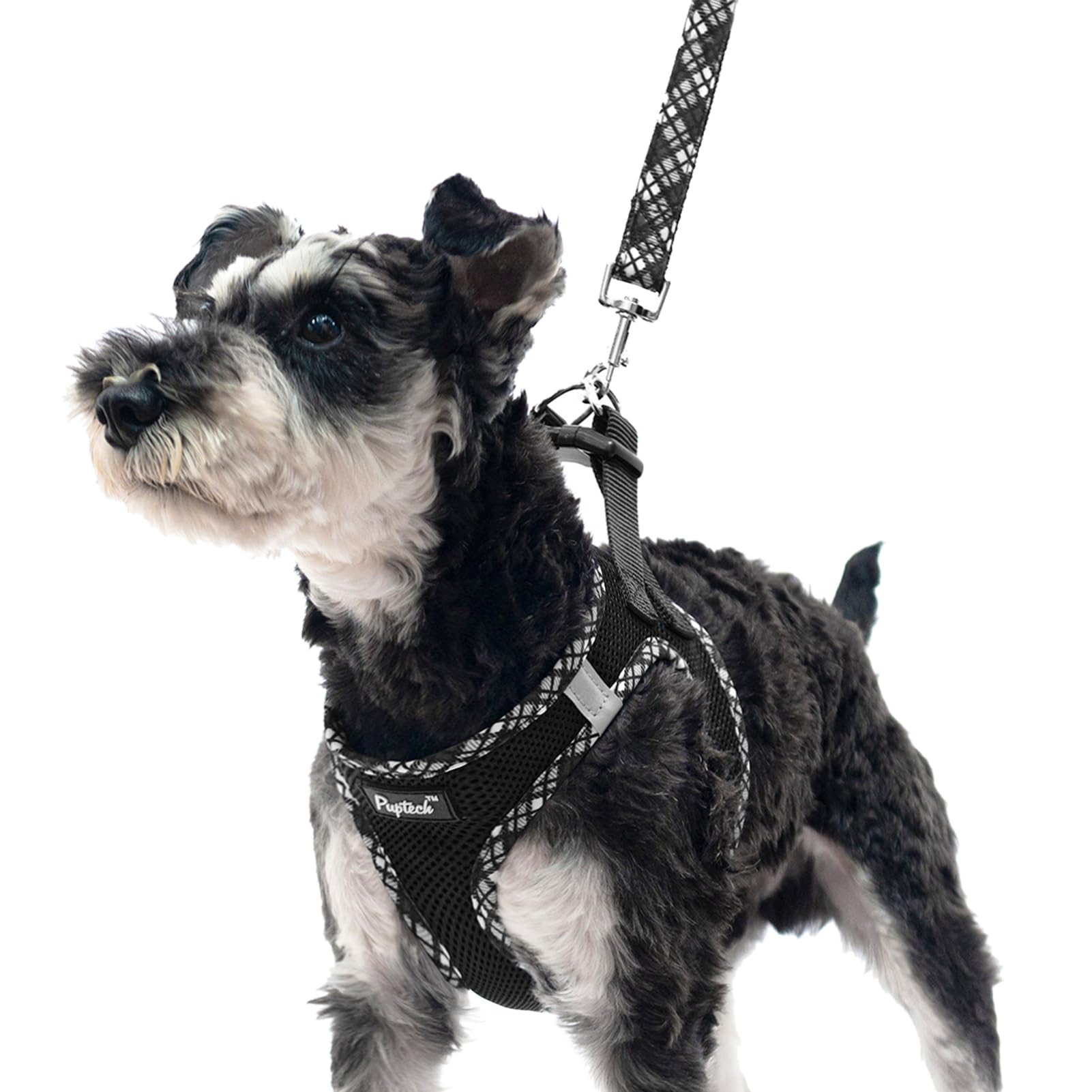 PUPTECK No-Pull Step-In Dog Harness & Leash Set - Soft Mesh Reflective Vest for Small & Medium Dogs & Puppies (Black, XS) - Perfect for Night Walks, Training & Outdoor Adventures