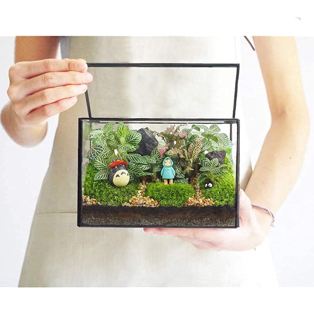 Black Glass Geometric Terrarium with Lid - 6.7