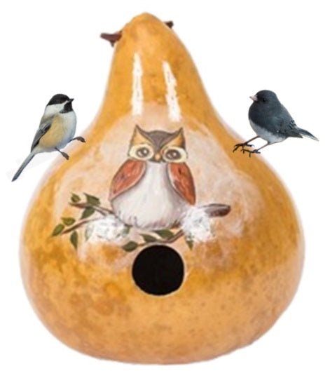 Hand-Painted OWL Gourd Birdhouse - Amish Crafted in USA | Unique Garden Decor for Backyard & Patio