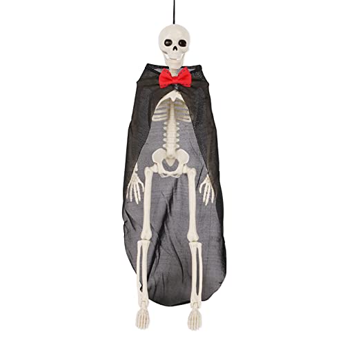 Human Skeleton 16inch