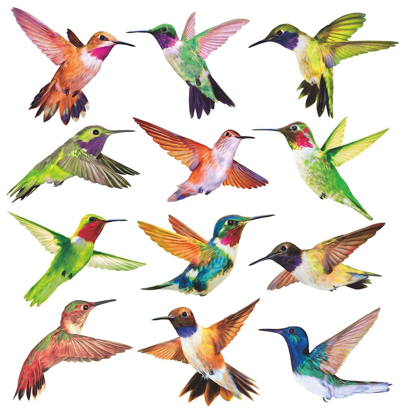 12-Pack Anti-Collision Window Decals - Hummingbird Stickers to Prevent Bird Strikes on Glass Windows | UV-Resistant & Weatherproof for Home, Office, and Garden Use