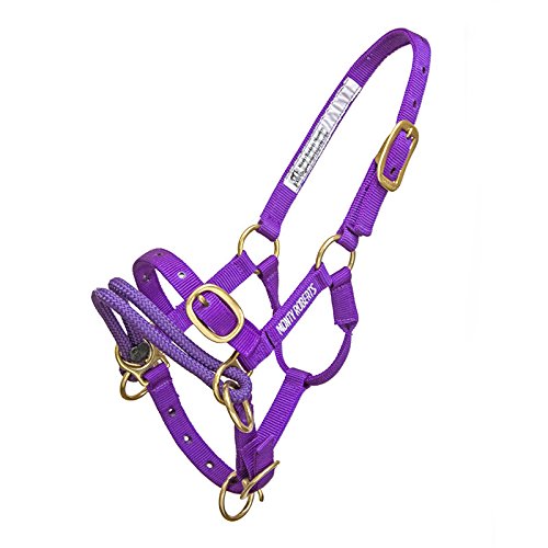 Monty Roberts Official Dually Training Halter for Mini Horses - Includes Free Instructional DVD | Perfect for Gentle Foal Training & Miniature Horse Handling