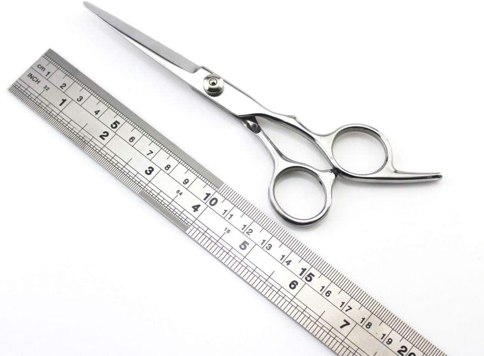 6 Inch Professional Hairdressing Scissors Set - Sharp Stainless Steel Barber Shears for Precision Hair Cutting - Silver (Great for Salon, Home Haircuts & Styling)
