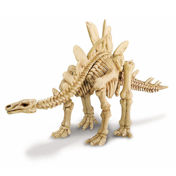 4M Kidz Labs Stegosaurus Skeleton Excavation Kit - Dinosaur Fossil Digging Toy for Kids, STEM Educational Science Project for Classroom & Home Learning Activities