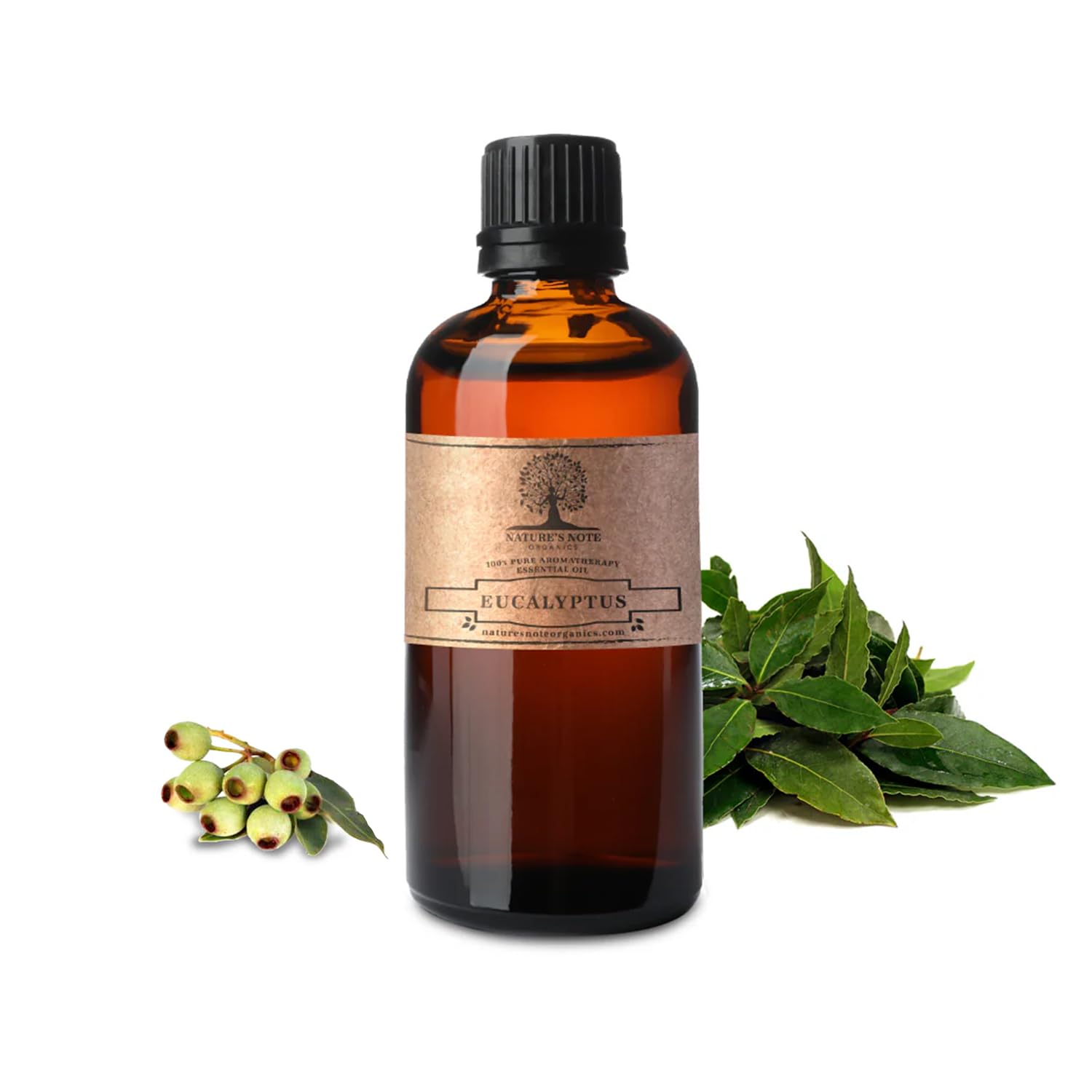 100% Pure Eucalyptus Essential Oil - Nature's Note Organics Aromatherapy Grade Oil for Diffusers, Massage & Relaxation - 4 Fl Oz (120ml) - Perfect for Stress Relief, Cold Relief & Home Spa