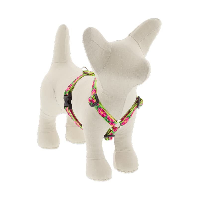 Lupine Small Adjustable Dog Harness 1/2