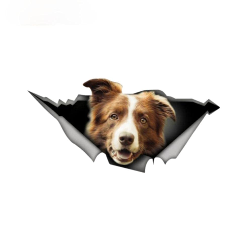 Funny 3D Animal Car Stickers - 28Cm Vinyl Decals for Car Window, Laptop & Bumper - Cute Pet Dog Graphic Design for Personalization & Style (Perfect for Car Enthusiasts, Pet Lovers & Office Decor)
