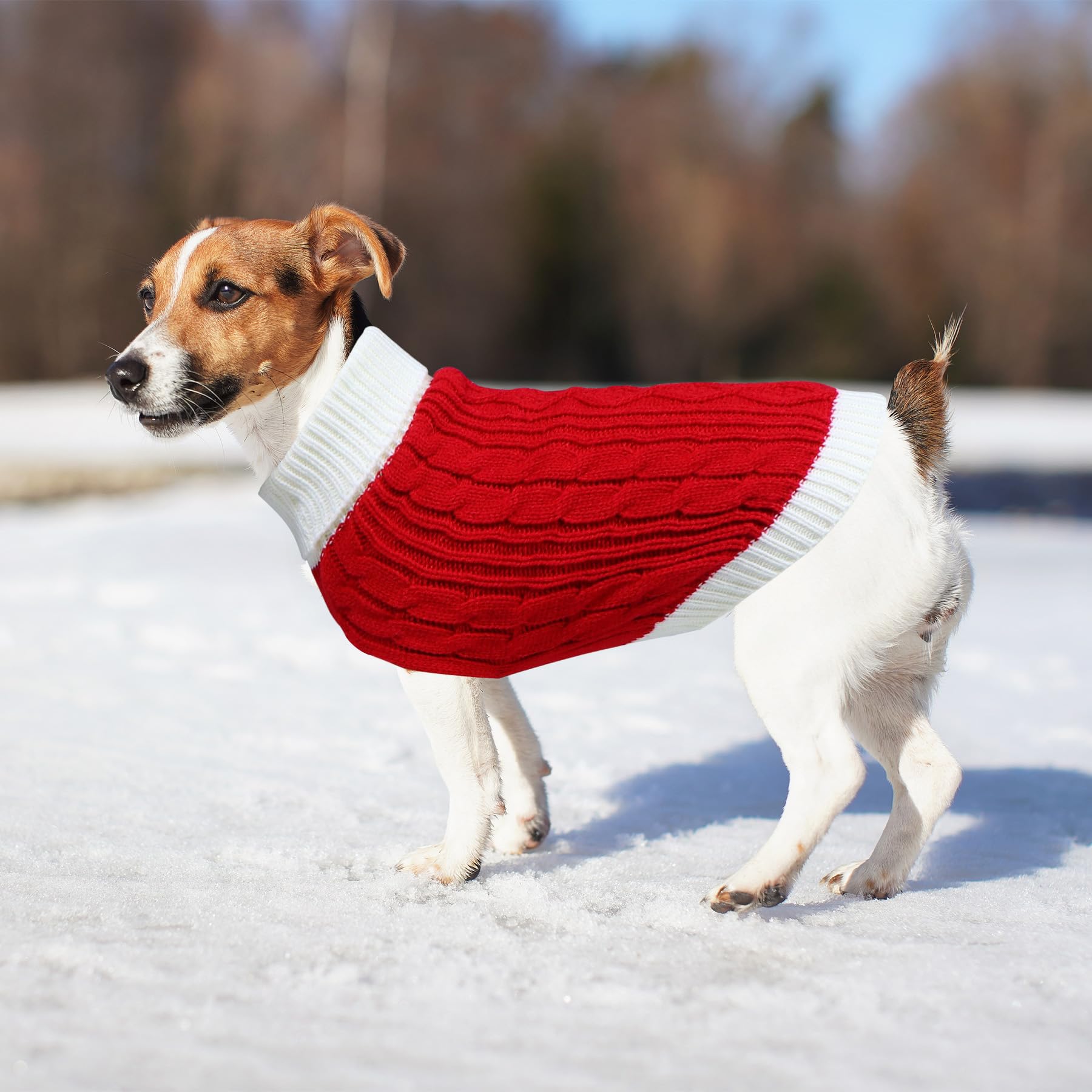 Christmas Dog Sweater - Knitted Turtleneck Winter Dog Clothes for Small, Medium & Large Dogs | Warm Holiday Pet Outfit in Red | Perfect for Christmas Photos & Winter Walks
