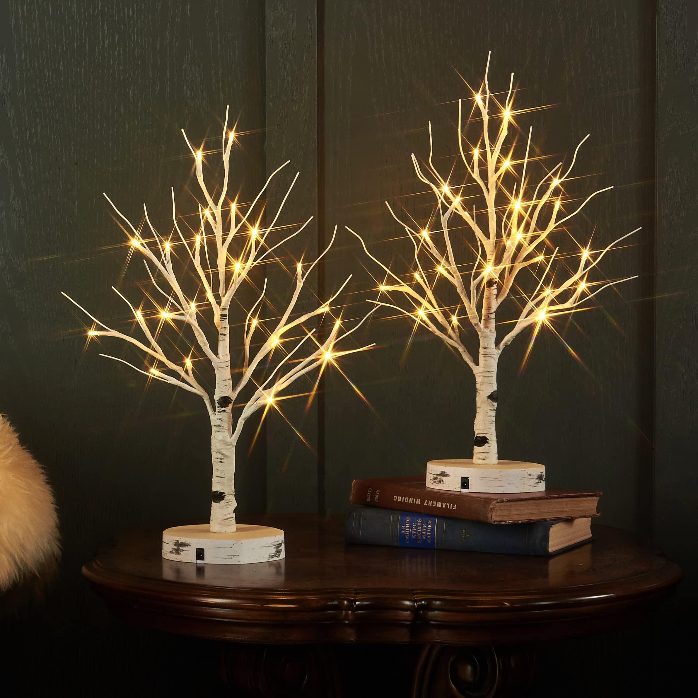LITBLOOM 2 Pack LED Birch Tree Lights with Timer - 18 Inch USB/Battery Powered Tabletop Decor - 24 Warm White LEDs for Easter, Wedding, Christmas Party & Home Decoration - Perfect for Centerpieces, Mantel Displays and Holiday Tablescapes