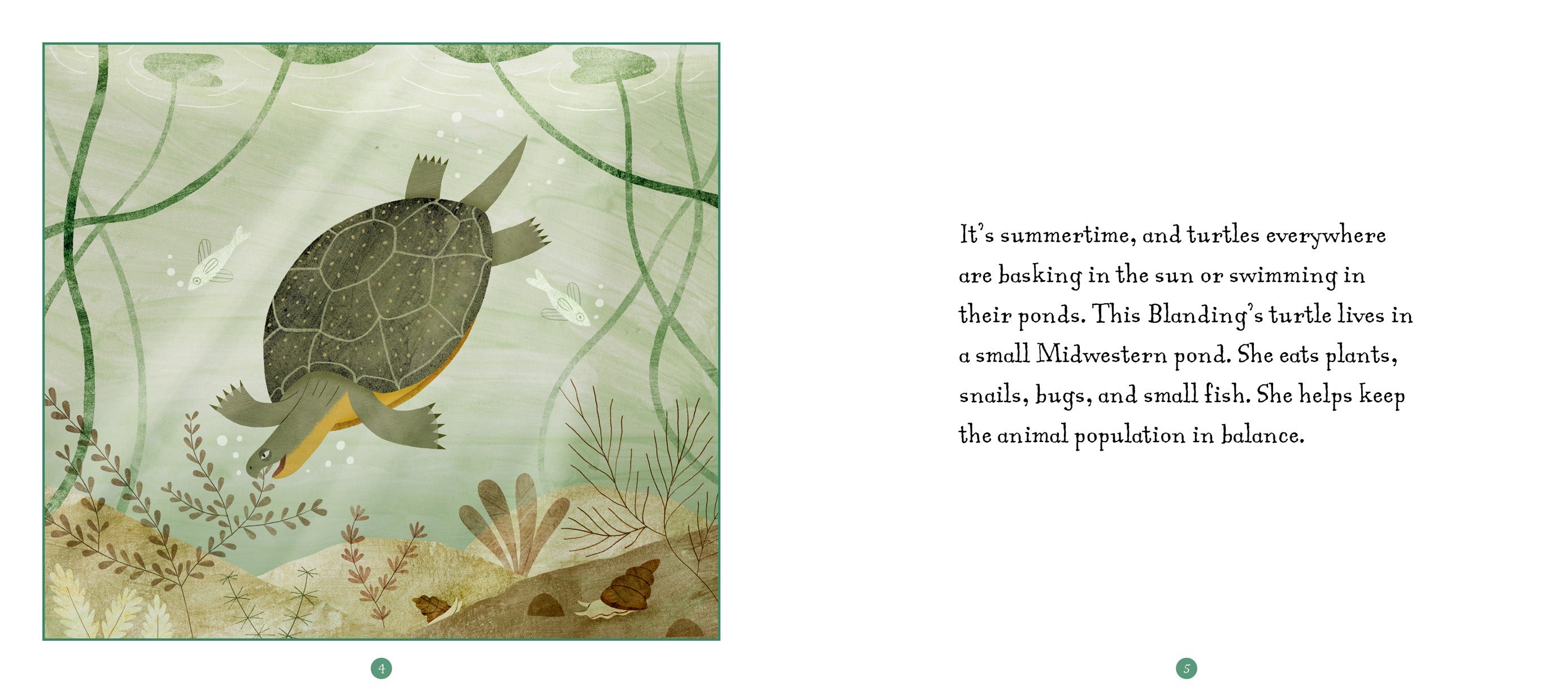 A Turtle's Dangerous Journey - Educational Kids Book About Sea Turtle Migration & Ocean Conservation - Perfect for Classroom Reading & Bedtime Stories