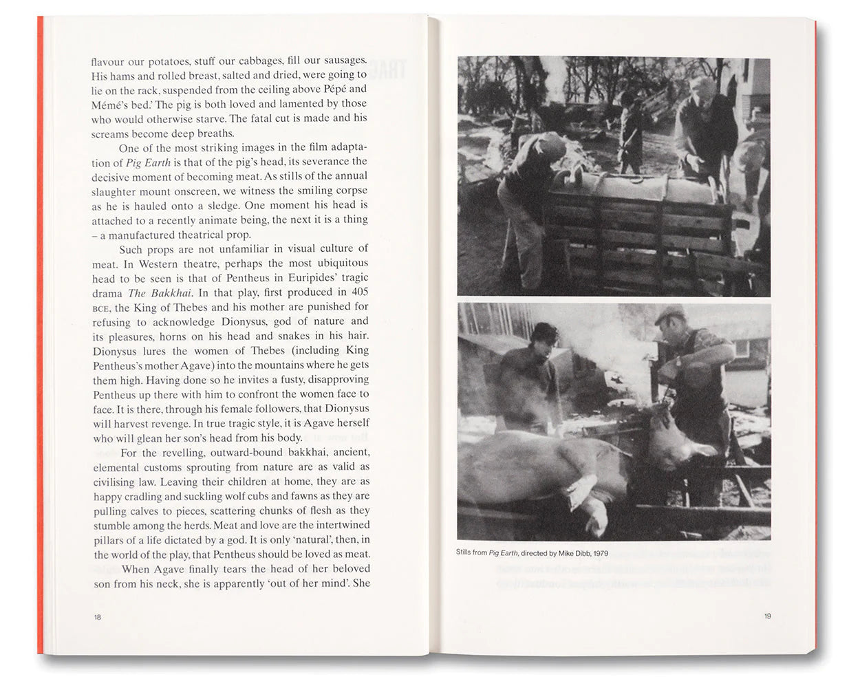 Meat Love: An Ideology of the Flesh by Amber Husain - A Philosophical Exploration of Carnal Desire for Book Clubs & Cultural Studies