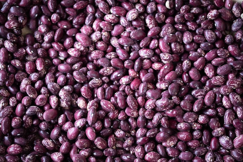 Organic Rancho Gordo Whipple Beans | Premium Heirloom Beans for Soups, Stews & Chili | Non-GMO, Gluten-Free | Perfect for Slow Cooking & Healthy Meals