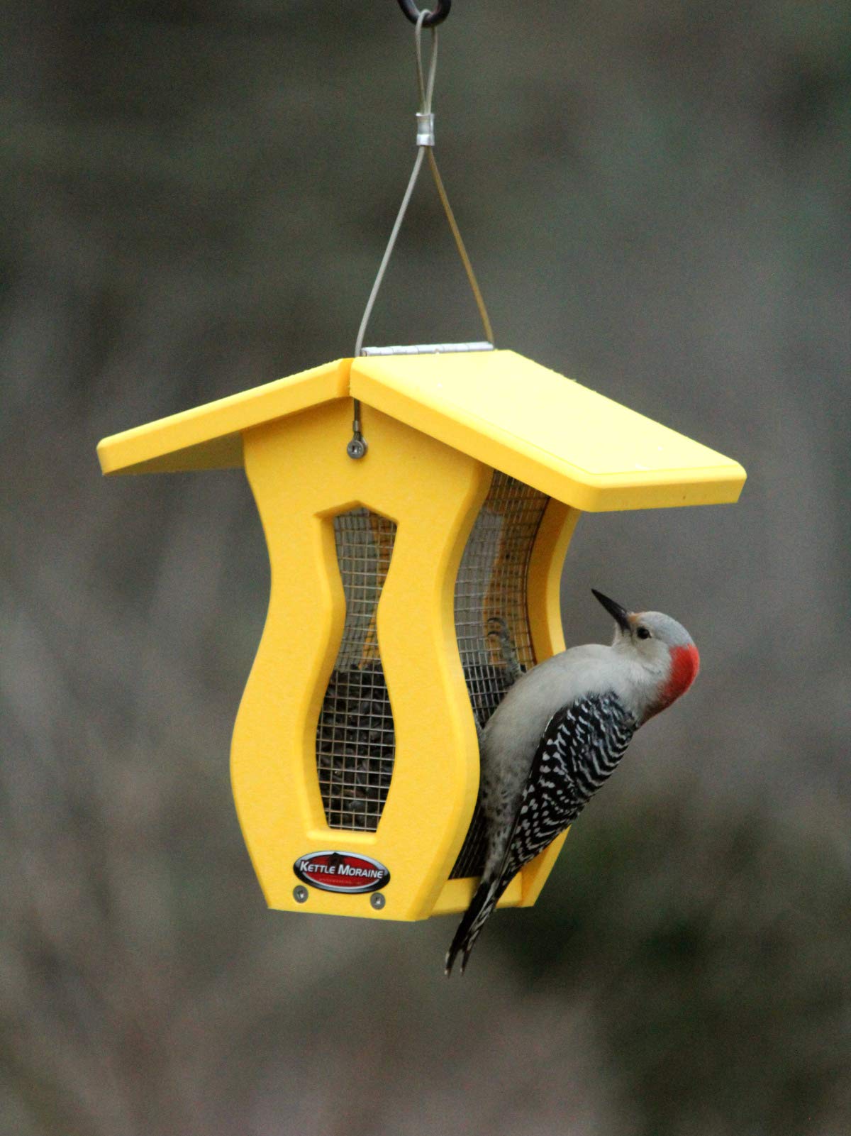 Kettle Moraine Recycled Small Curved Screen Bird Feeder - Eco-Friendly Yellow Outdoor Garden Decor for Attracting Wild Birds