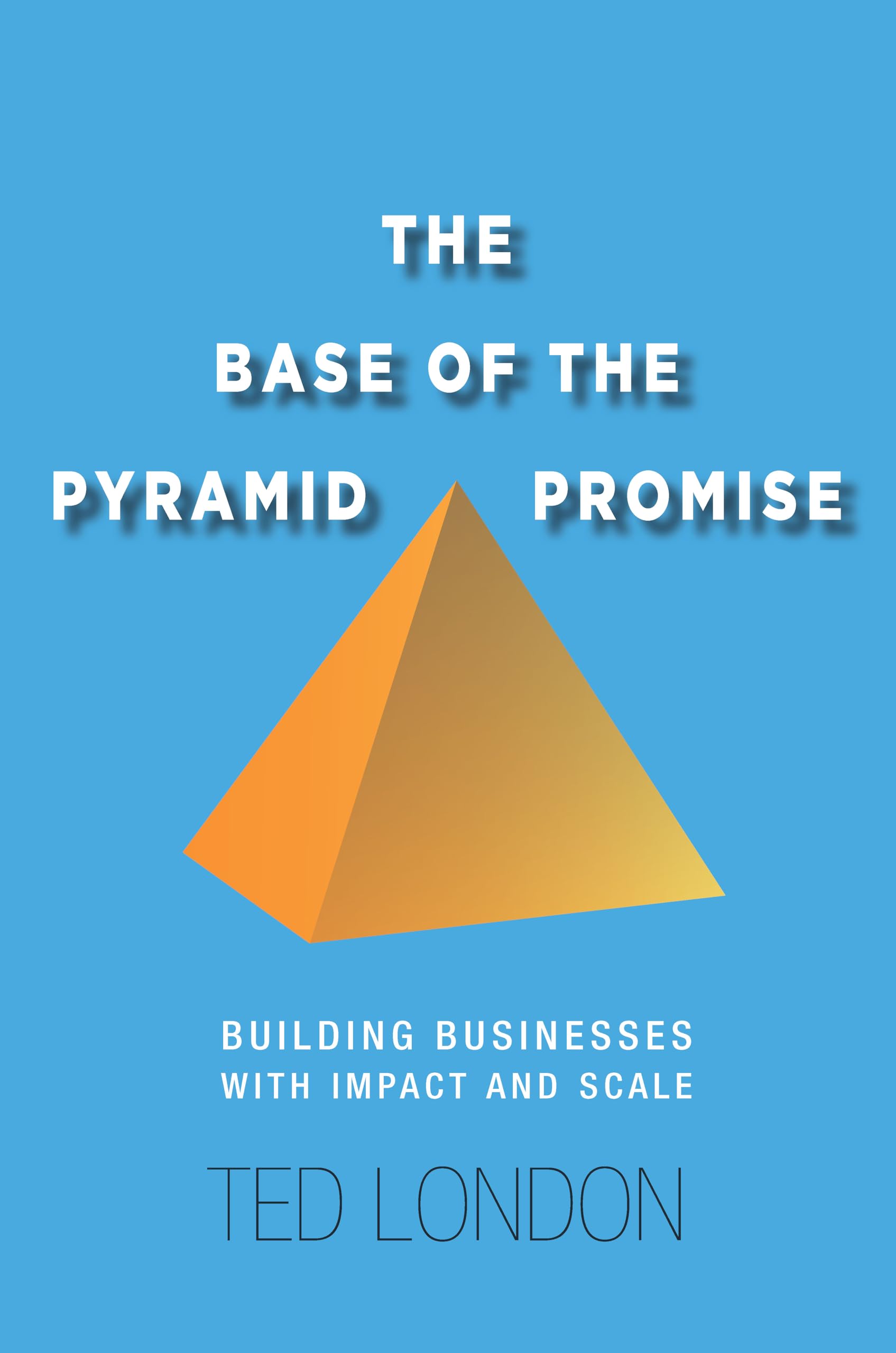 The Base of the Pyramid Promise: Building Impactful and Scalable Businesses for Social Entrepreneurs & Developing Markets | Poverty Alleviation Solutions