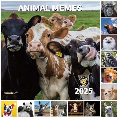 Animal Memes