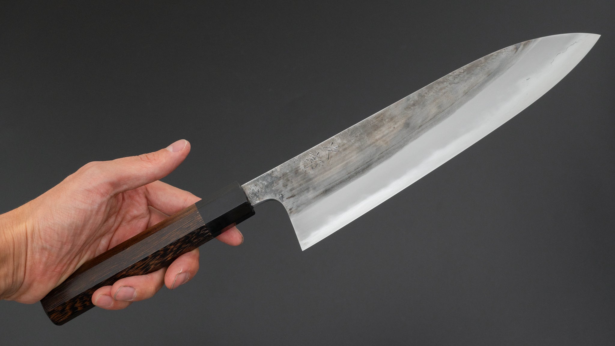Premium Jiro Tsuchime Wa Gyuto 240mm Japanese Chef Knife with Taihei Tagayasan Handle - Perfect for Sushi, Meat Cutting & Professional Kitchen Use