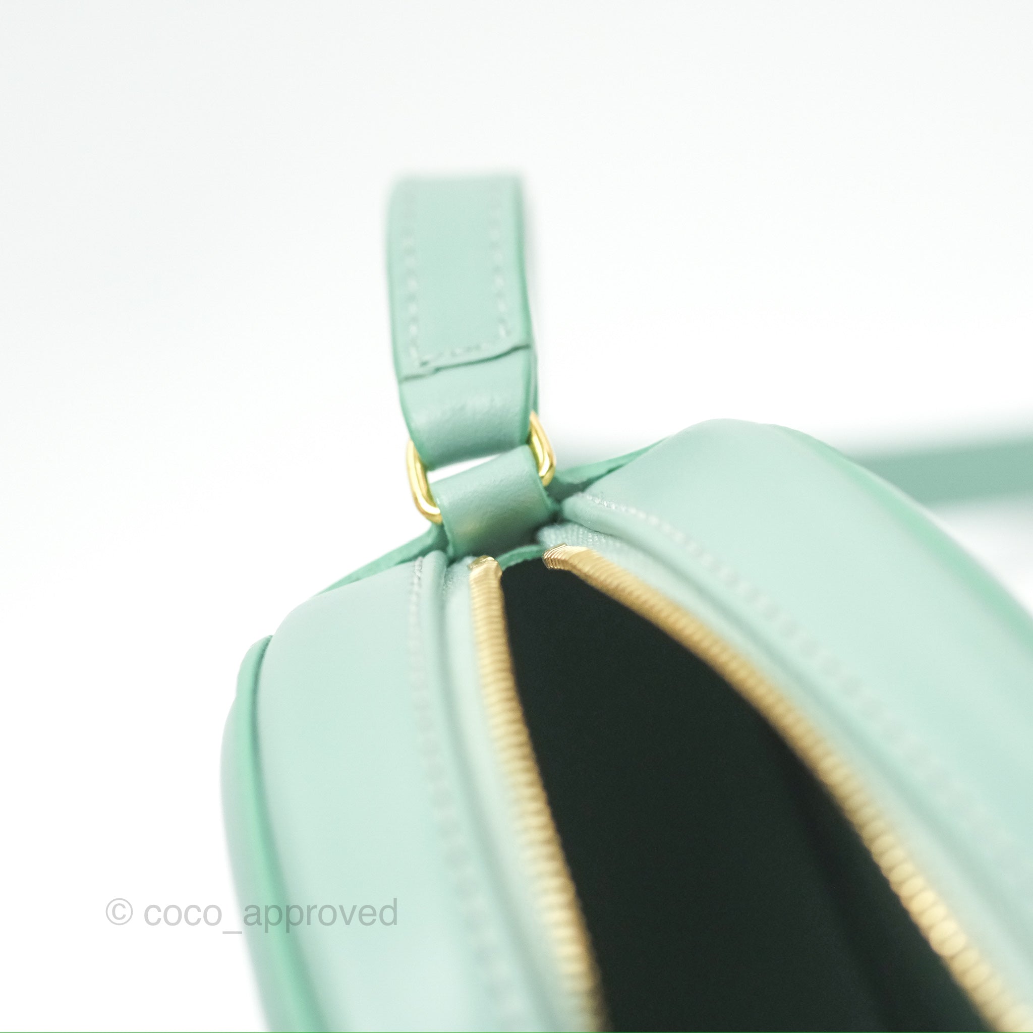 Celine Oval Bag Triomphe in Ice Mint Calfskin Leather - Luxury Crossbody Purse for Women, Perfect for Date Night & Evening Events