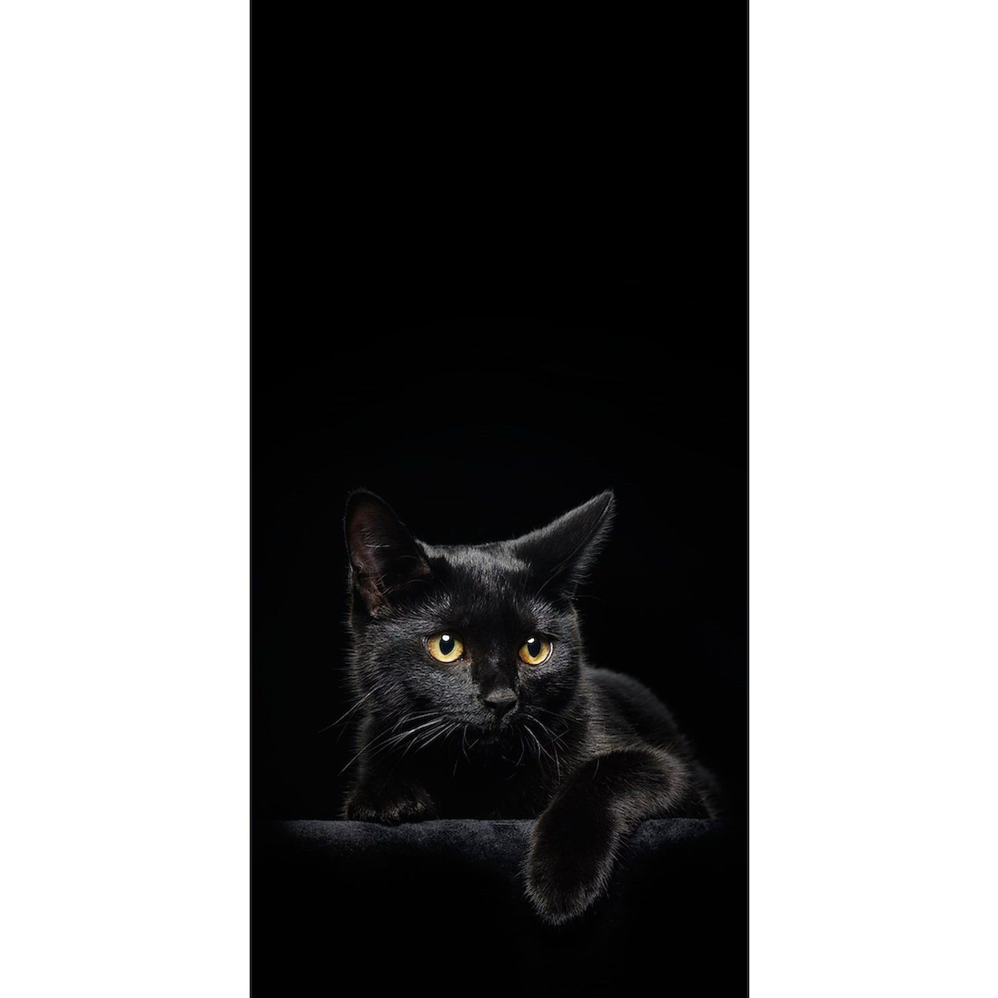 Soft Black Cat Large Beach Towel - Unique Design, Absorbent & Quick-Dry for Pool, Beach, Yoga & Picnic | CafePress