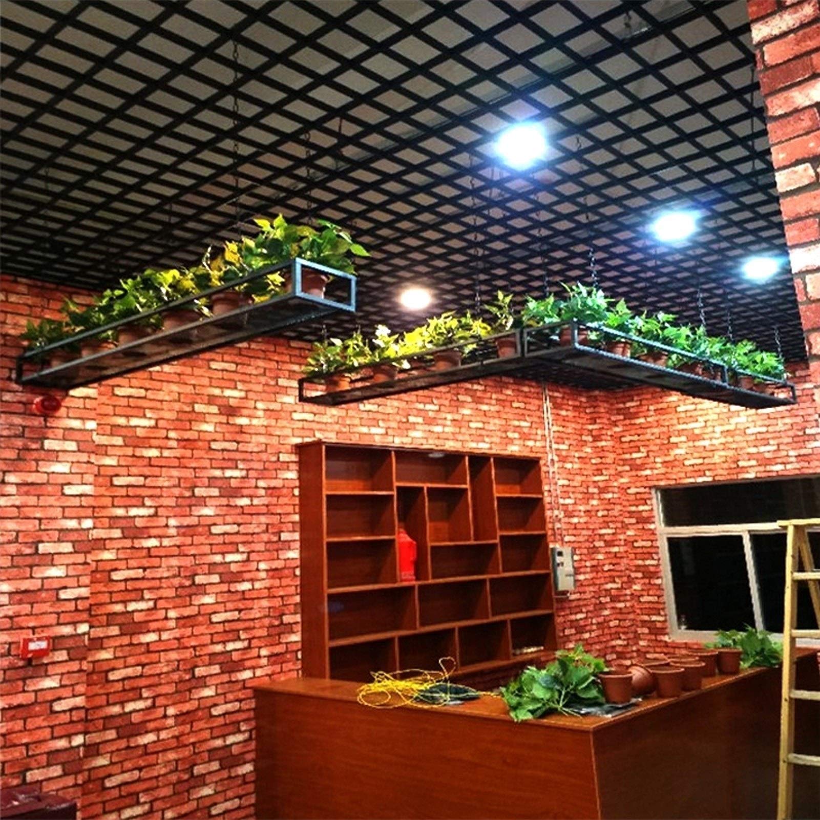 Metal Ceiling Hanging Flower Shelf - Iron Wall Mounted Plant Display Rack for Indoor Balcony, Living Room, Restaurant & Bar Decor | Space-Saving Home & Office Storage Solution