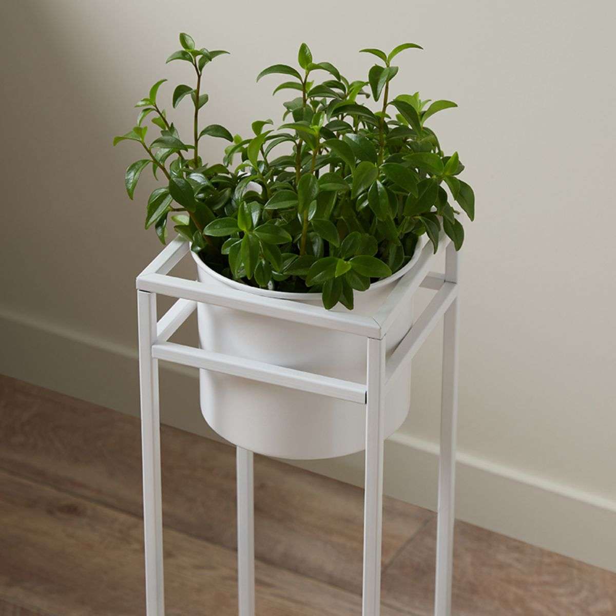 Brent Metal Plant Stand - White Short Indoor/Outdoor Flower Pot Holder for Home & Garden Decor