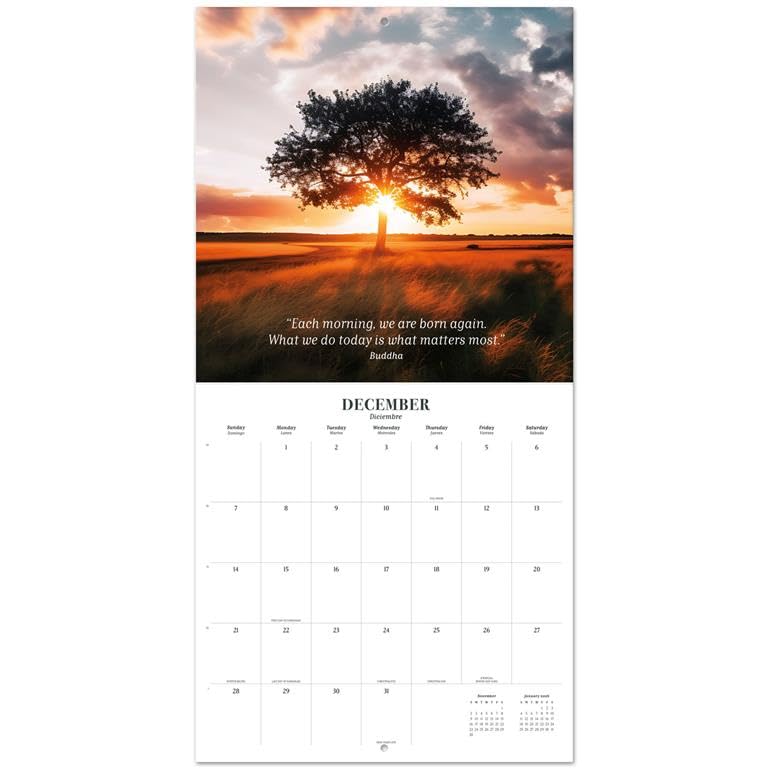 Zen Nature Wall Calendar 2025 - 12