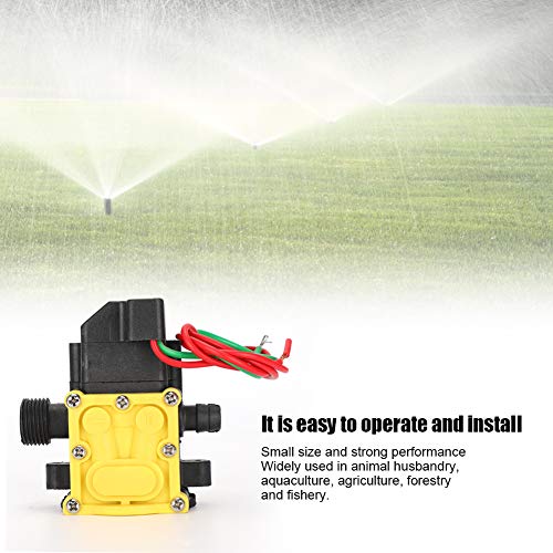 12V Diaphragm Pressure Pump Electric Sprayer for Garden Misting - High Efficiency Water Pump Accessory for Home, Yard & Greenhouse Irrigation System