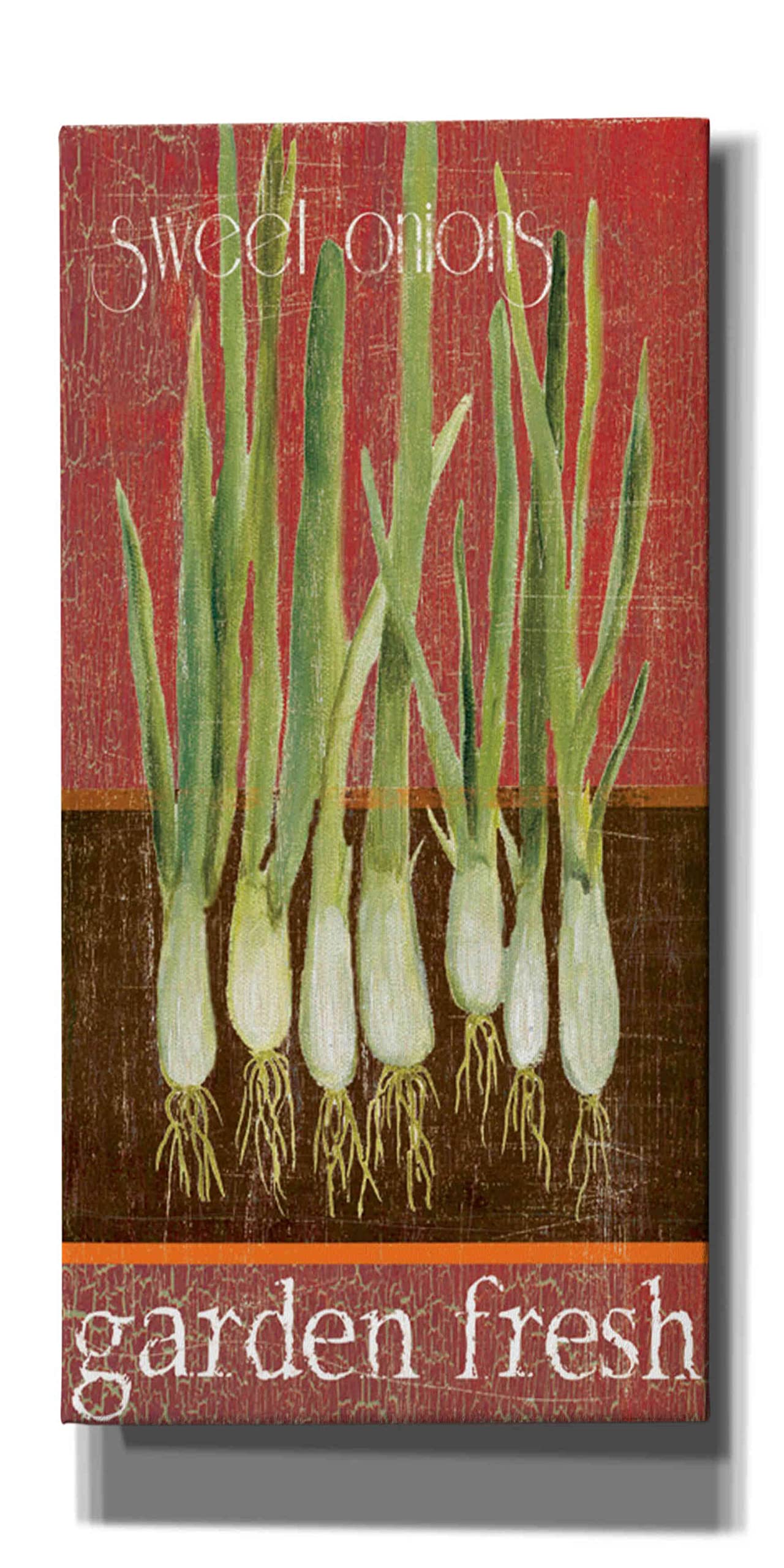 Epic Graffiti 'Green Onions' by Jadei Graphics - 12x24 Inch Canvas Wall Art for Living Room, Bedroom & Office Decor