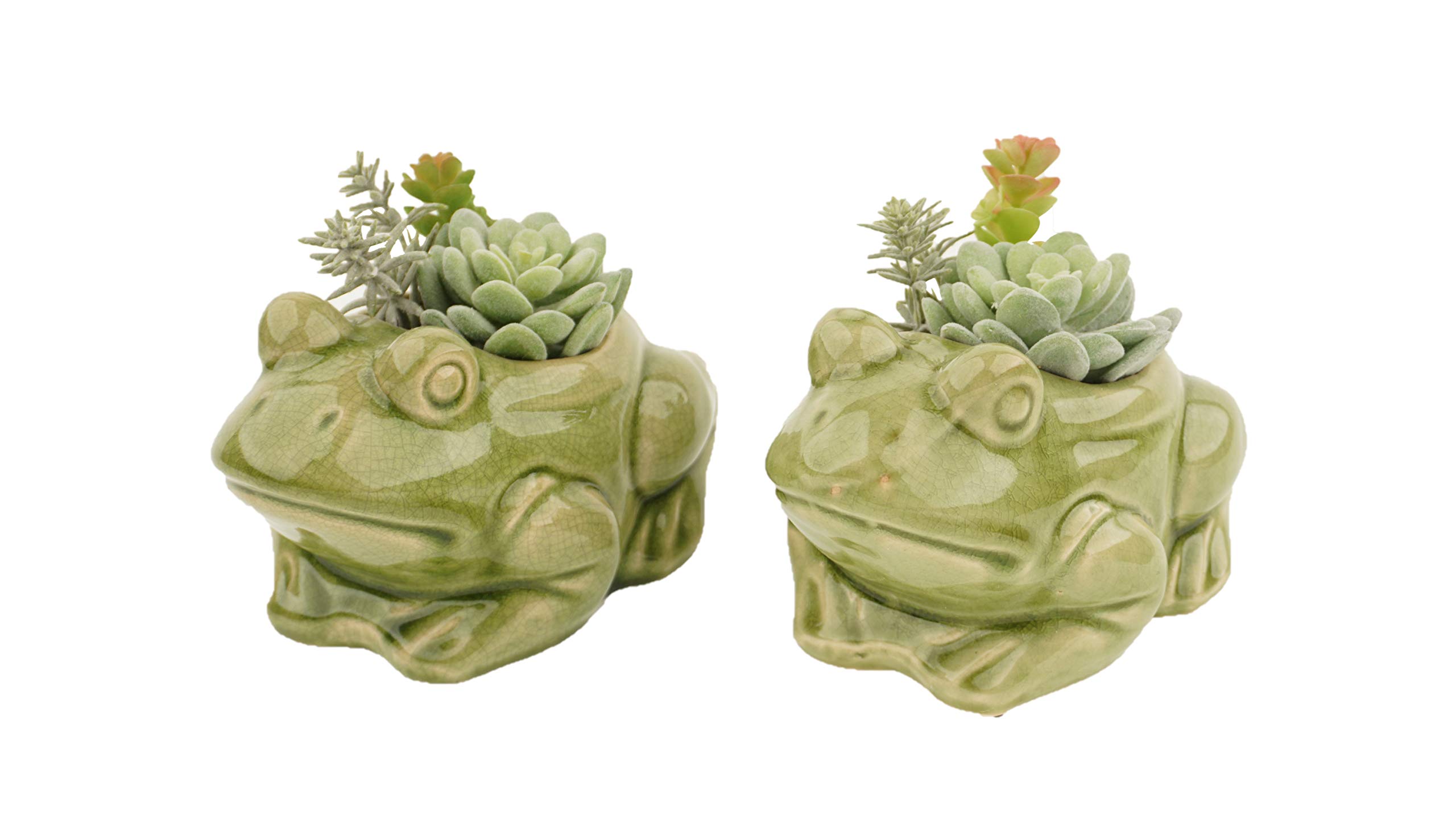 Artificial Succulent Plants in Frog Ceramic Pot - Fake Green Succulents for Home Decor, Bathroom Decor, Office Desk & Wedding Centerpieces | Greathouse Trading Company