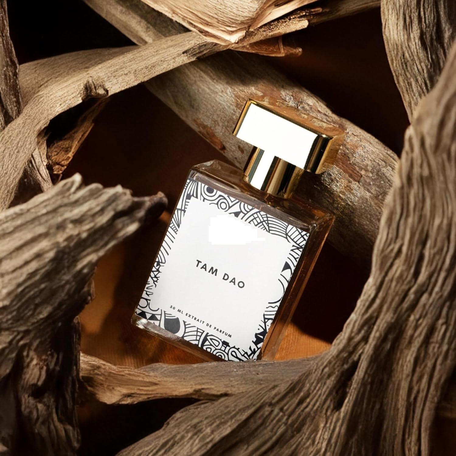 MG Perfume Tam Dao for Men - Long Lasting Woody & Amber Fragrance with Sandalwood, Lime & Aromatic Notes - 50ml (1.69 fl oz) Eau de Parfum | Perfect for Daily Wear, Office & Special Occasions