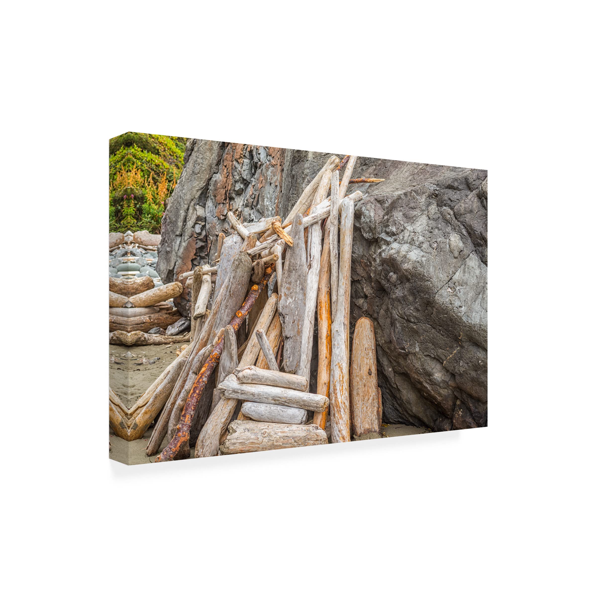 Bundle of Driftwood Beauty Canvas Wall Art by Joseph S Giacalone - 16x24 Inches Coastal Home Decor for Living Room, Bedroom & Office