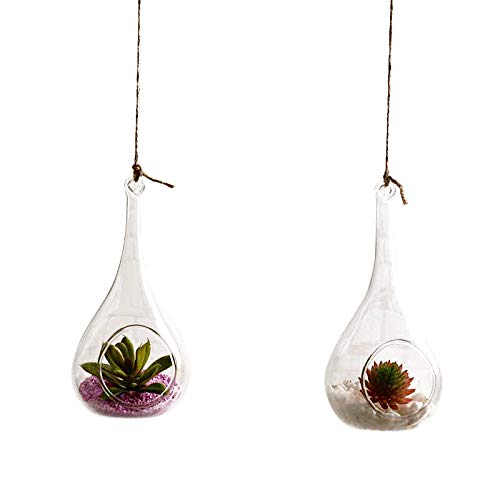 2 Pack Glass Hanging Candle Holders & Succulent Planters - Indoor/Outdoor Decorative Hanging Glass Plant Pots for Air Plants, Flowers & Terrariums - Perfect for Patio, Garden, Balcony & Home Decor