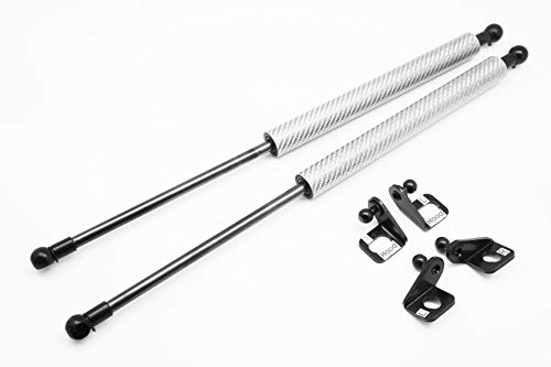 Hood -Silver Carbon