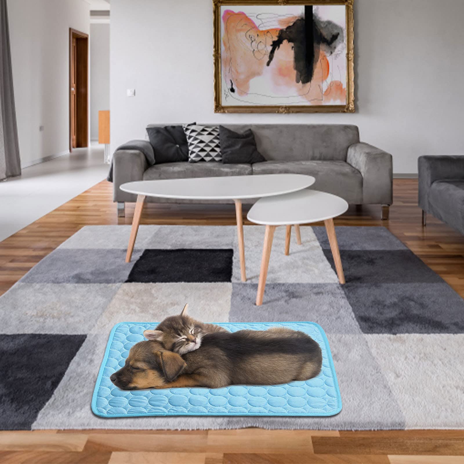 Cooling Pet Mat for Cats & Dogs - Washable Ice Silk Pad for Beds & Crates - Summer Comfort