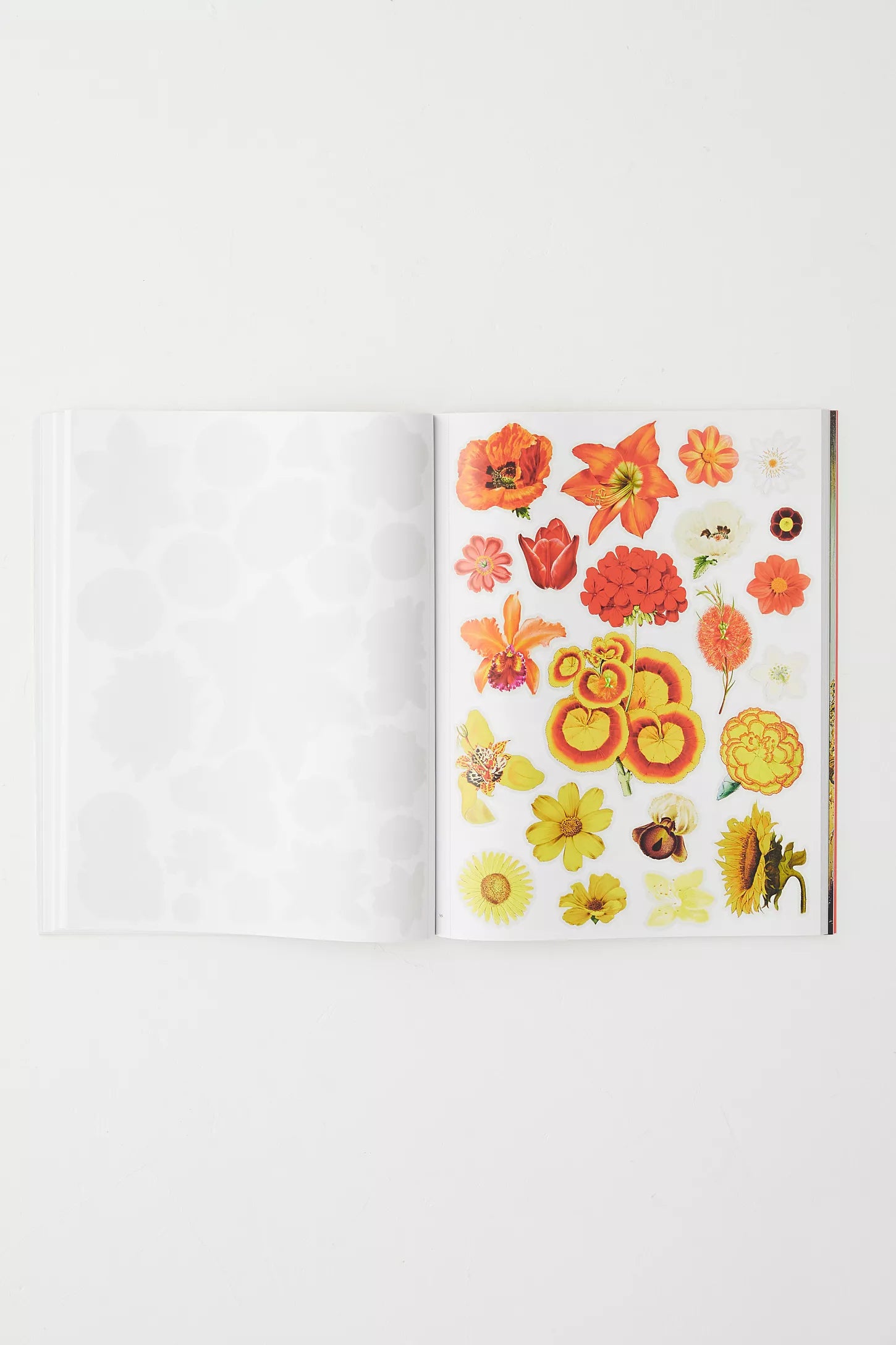 Best Creative Collage Supplies - Extraordinary Cut-Out Materials for Scrapbooking, Art Projects & DIY Crafts | Perfect for Journals, Vision Boards & Home Decor