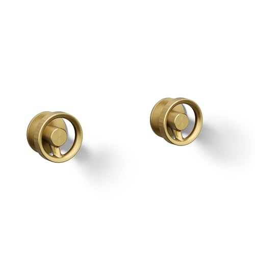 Vibrant Brushed Moderne Brass