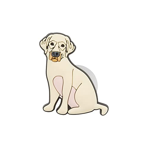 Yellow Lab