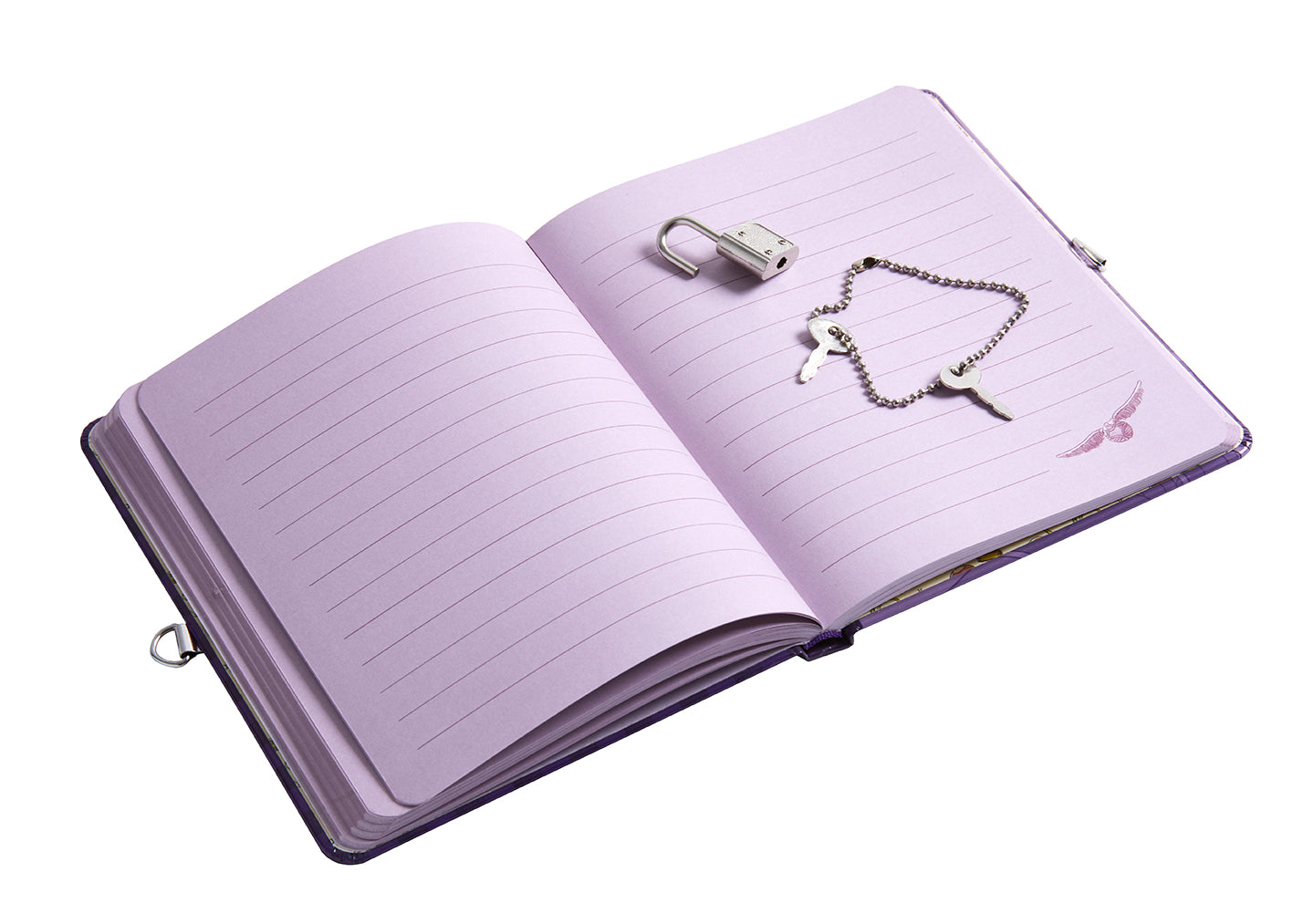 Harry Potter Quidditch Lock & Key Diary - Wizarding World Journal for Fans, Collectors & Students - Perfect for Note Taking, Spell Tracking & Magical Adventures