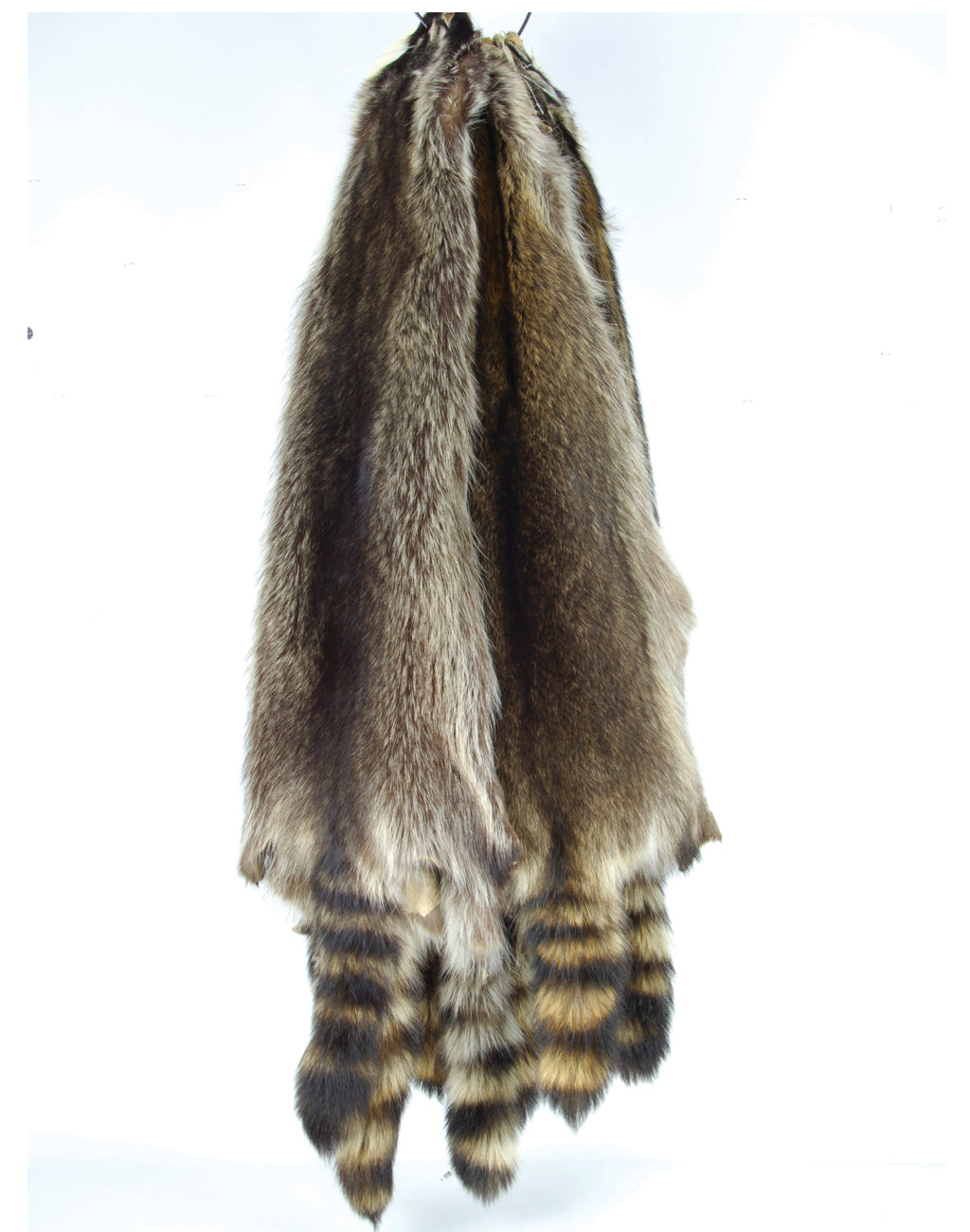 Premium Jumbo Raccoon Fur Pelts - High-Quality Taxidermy & Crafting Supplies for DIY Projects, Home Decor, and Hunting Trophies