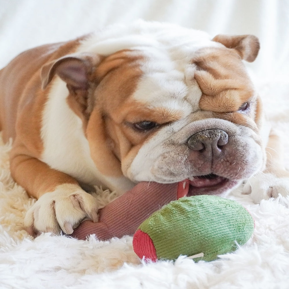 Durable Olive & Salami Dog Chew Toy for Small & Medium Dogs - Perfect for Teething, Playtime & Training