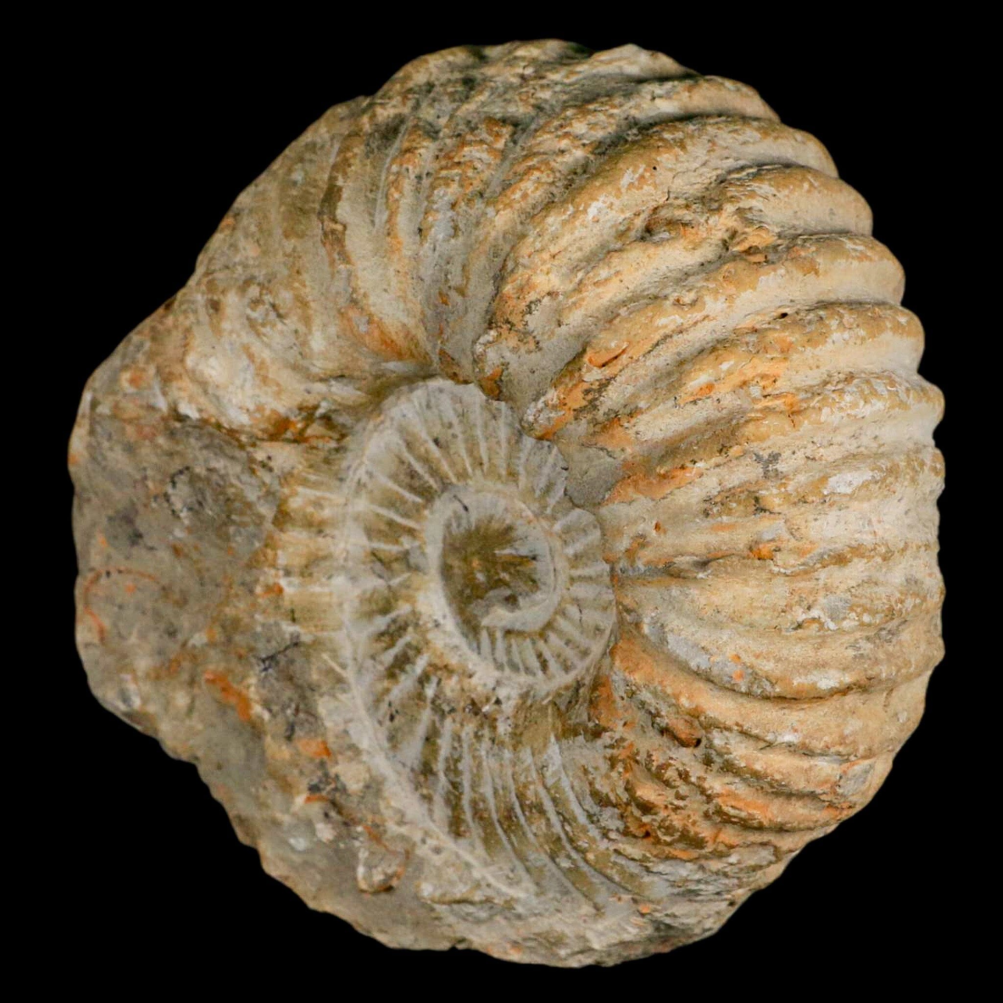 5.2