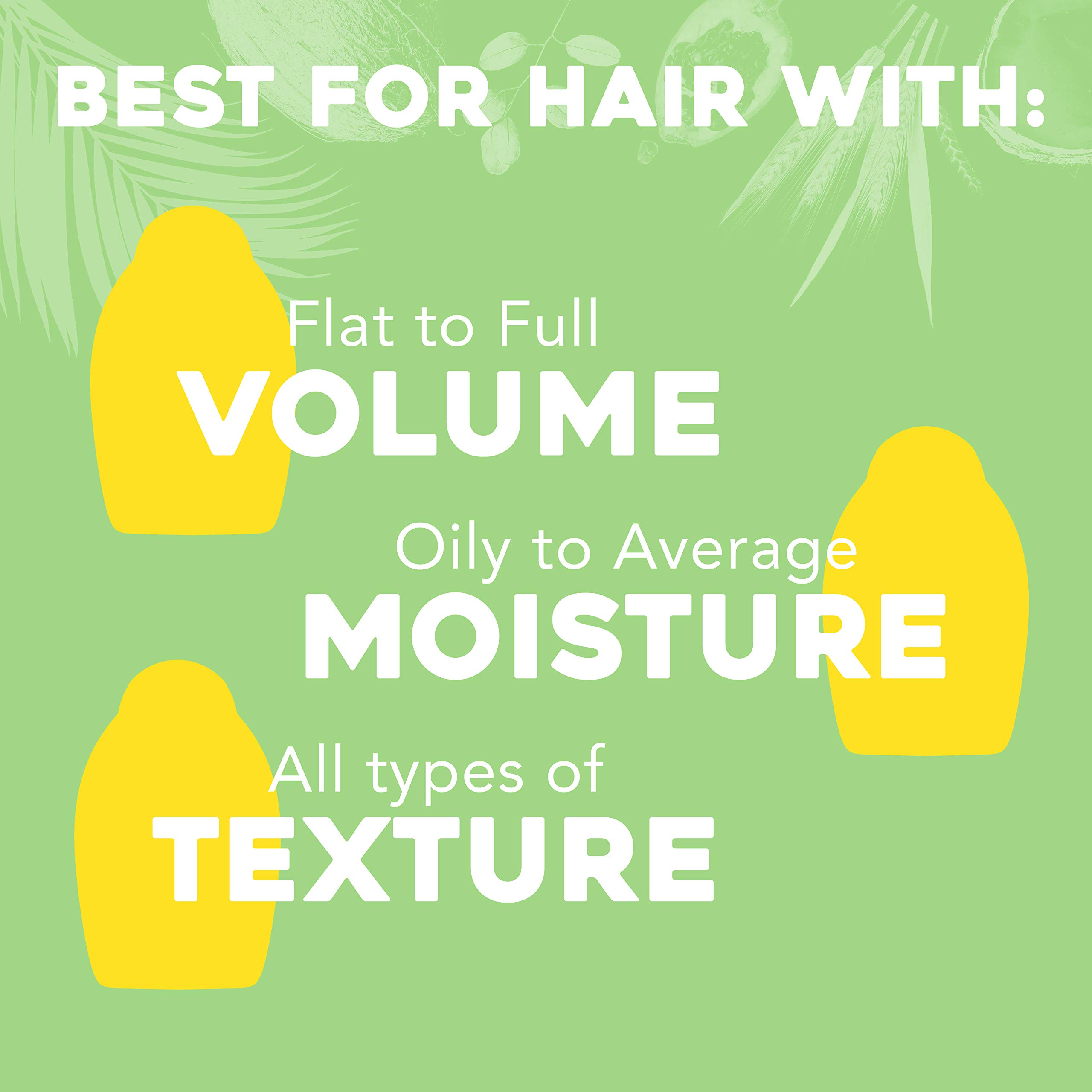 OGX Purifying + Charcoal Detox Dry Shampoo Spray with Activated Charcoal & Kaolin Clay - Oil Absorbing & Hair Revitalizing Formula for Fresh, Full Hair (5 oz) | Perfect for Busy Mornings, Gym Sessions & Travel