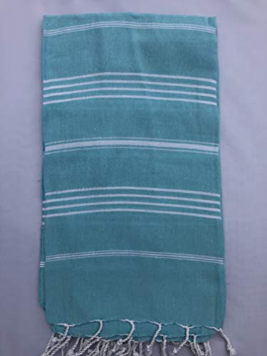 Light Blue 1