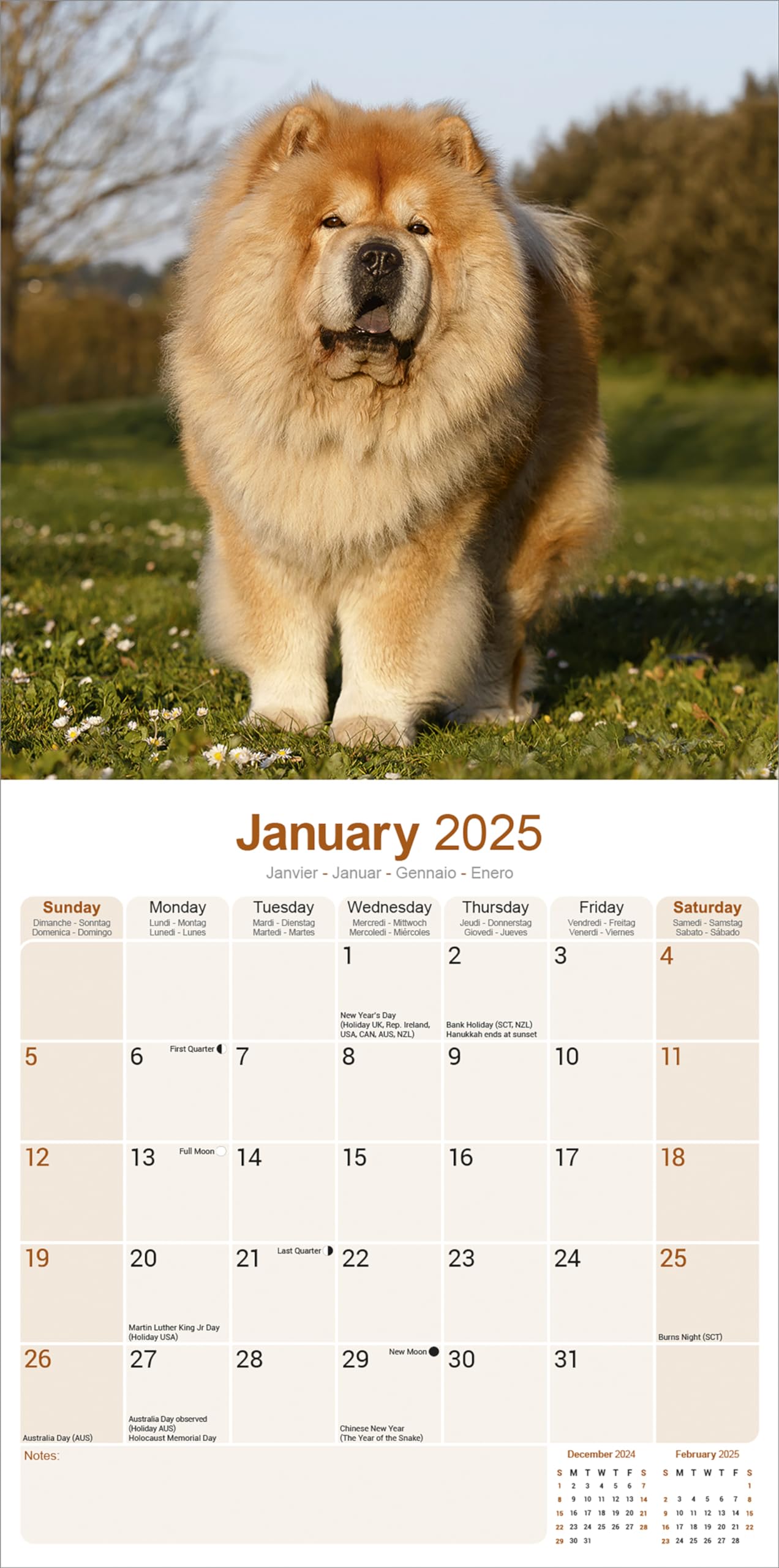2025 Chow Chow Dog Breed Wall Calendar - 16 Month Square Planner for Home & Office Decor | Perfect Gift for Dog Lovers & Pet Owners