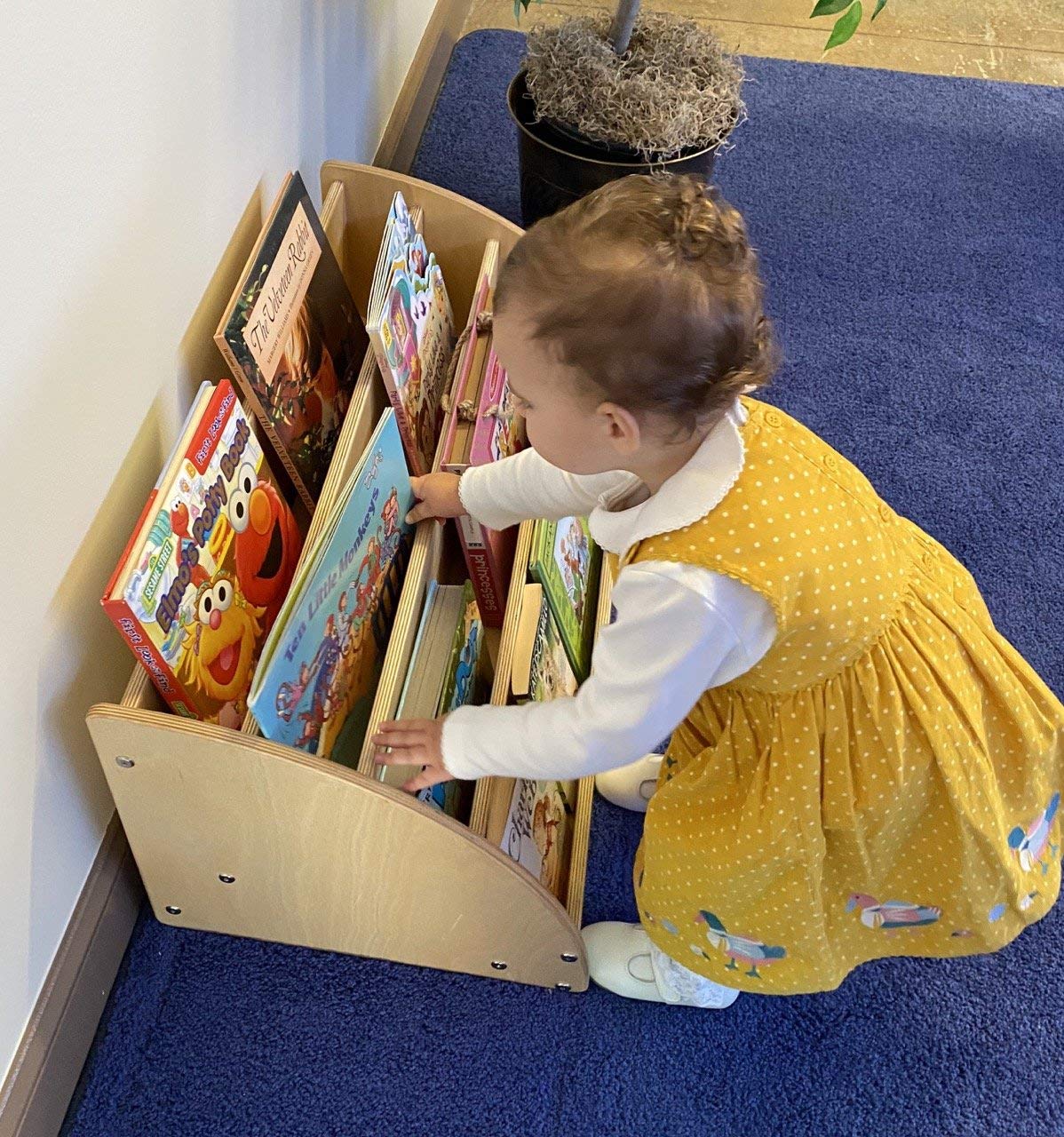 Best Kids' Book Display for Toddlers - Durable & Safe Book Organizer for Playrooms, Classrooms & Home Learning Spaces