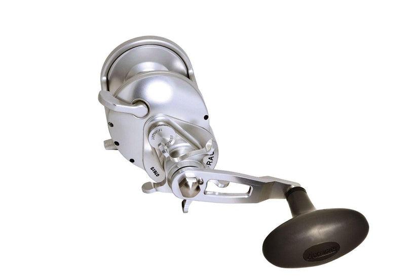 Accurate Tern 2 Star Drag Fishing Reel - Saltwater & Freshwater Spinning Reel for Surf, Pier & Boat Fishing