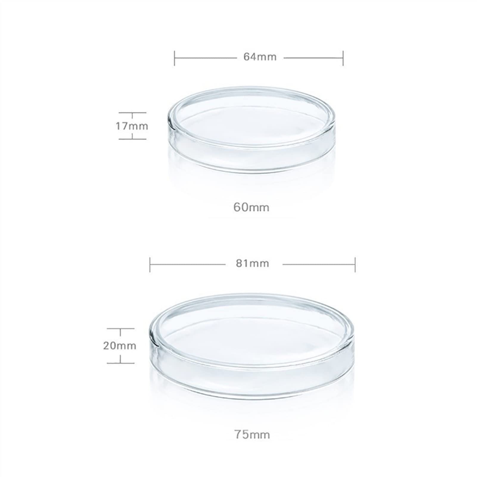 60mm Borosilicate Glass Petri Dishes with Lids - 10 Pack | 60x17mm Heat Resistant Lab Dishes for Bacterial Culture, Science Experiments & Microbiology Studies | Perfect for Laboratories, Schools & Research Facilities