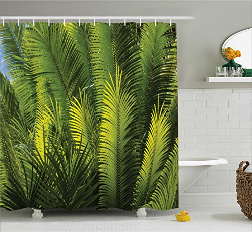 Fern Green Forest Green