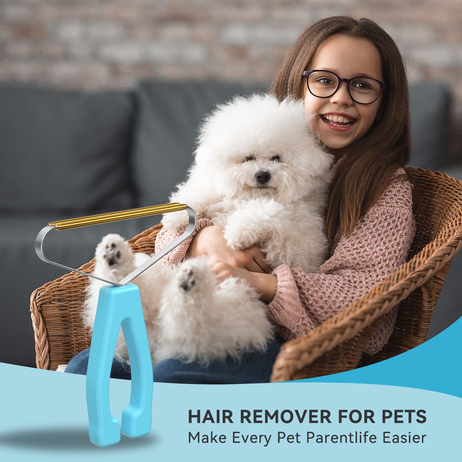 Pet Hair Remover & Lint Brush for Carpets, Furniture - Blue