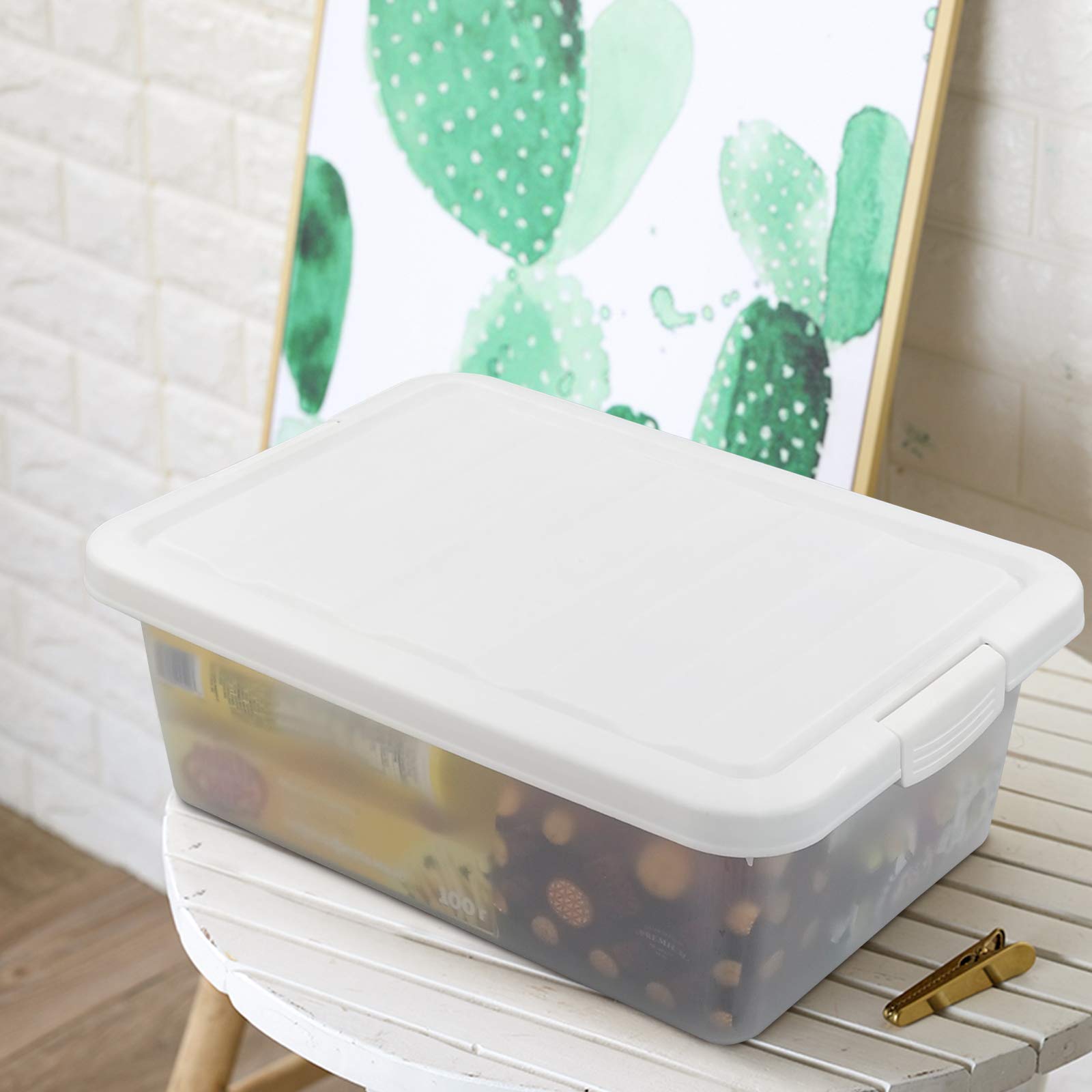 14 Quart Clear Plastic Storage Box with White Lids - 2 Pack Underbed Organizer for Clothes, Shoes & Seasonal Items - Space Saving Home Organization Solution